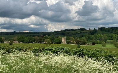 Around the Cotswolds, stopping for a Revolution