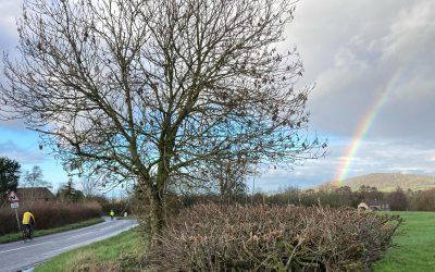 Mr. B.: This Is Your Life