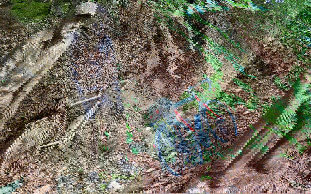 Soudley in the sunshine