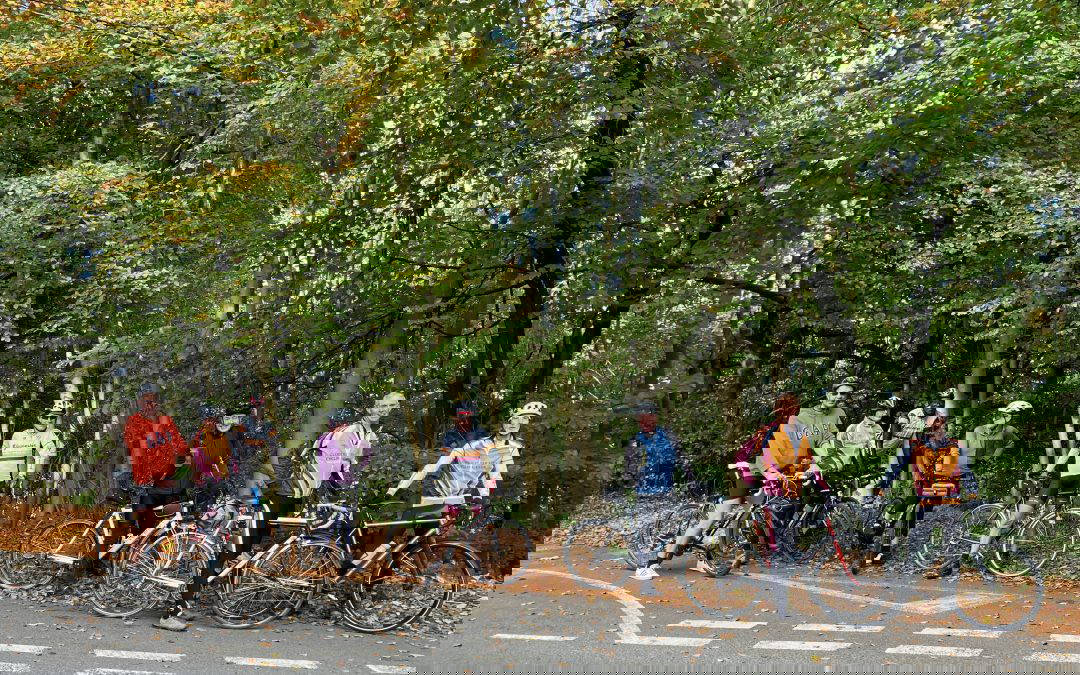 A Magnificent Morning