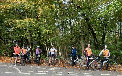 A Magnificent Morning