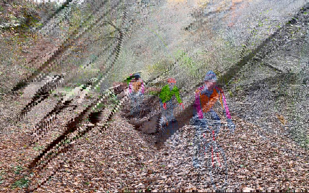 A BiCycle ride with an AlphaBetiC theme