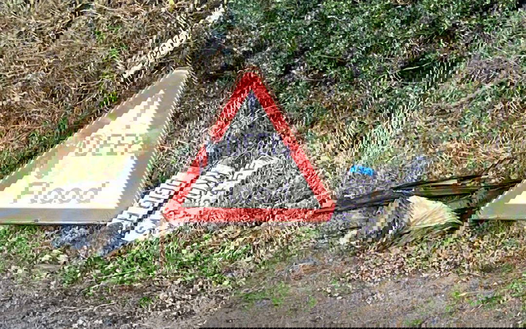 A day to exercise Presidential and Vice Presidential Prerogatives