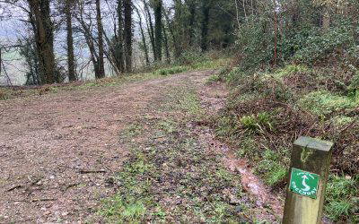 The Lone Ranger rides again