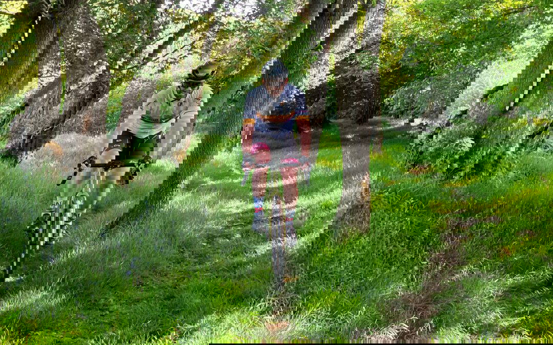 Where we are going there are no roads