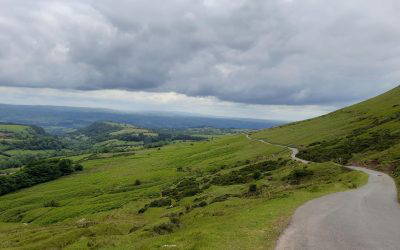 Birds & Bridges (and Gospel Pass)