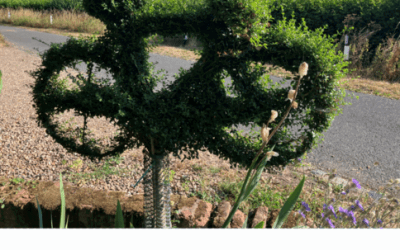 Summer edition of Spokespiece is now available