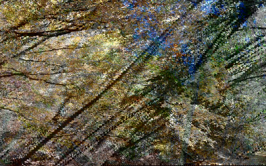 Pleasently tired legs