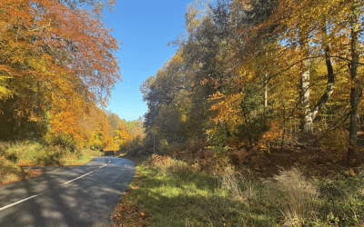 Pleasantly tired legs