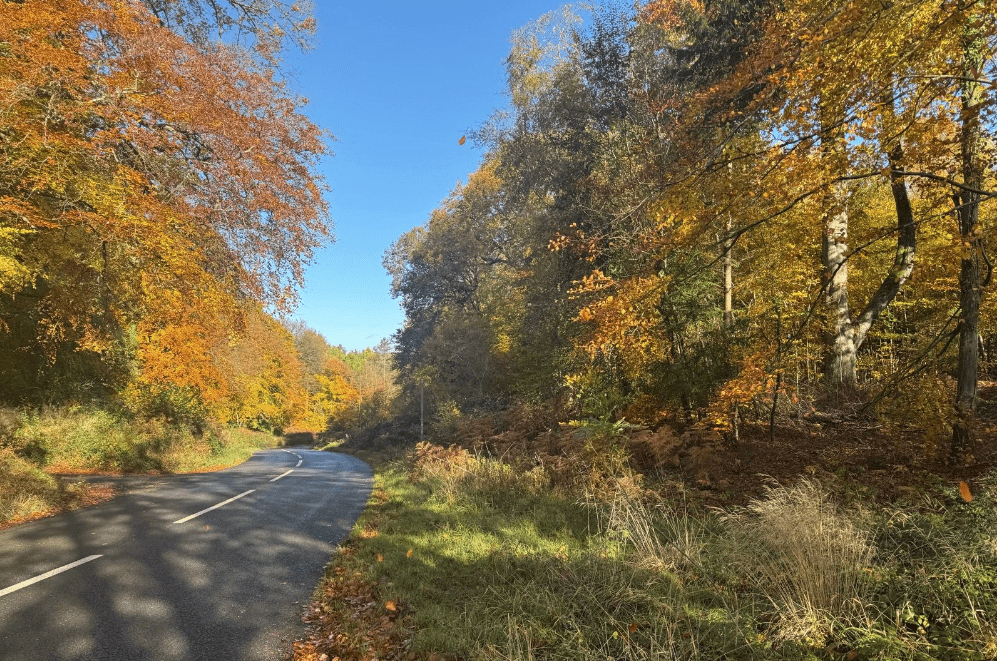 Pleasantly tired legs