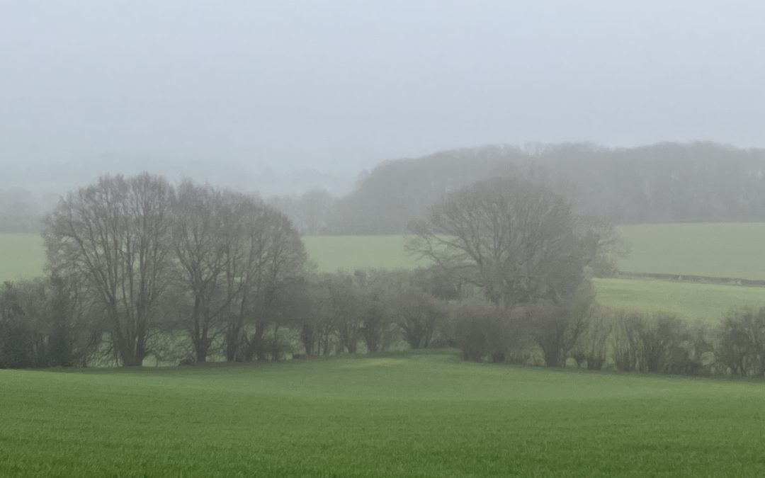 And then there were four…