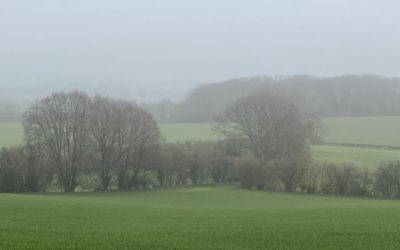 And then there were four…